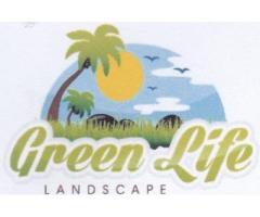 Removal of Palm Trees and Waste Disposal Services