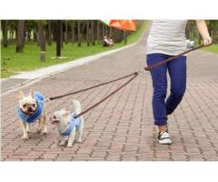 Free Spirits: Vancouver's Best Off-Leash Spots | Rocky Mountain & Dog