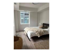 $1,650 / 4br - Spacious Master Room for Rent in Downtown (Toronto)