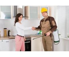 Affordable Pest Control Brampton, Call : 647 239 0762 - Mississauga / Peel Region