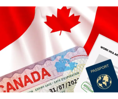 Worried About Your Immigration Status? We Can Help! - Edmonton