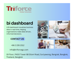 Boost Business Insights with a BI Dashboard