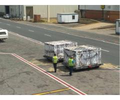 Export and Import Animal Services in Thailand