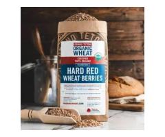 15 lbs of Hard Red Wheat Berries – Farm Fresh and Protein-Packed