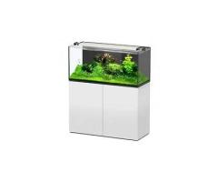 Aquarium supplies abu dhabi - Famous Pets