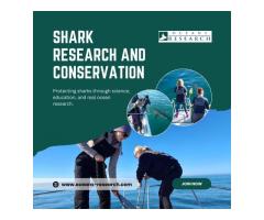Shark Research And Conservation