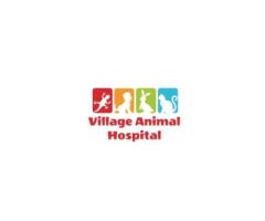 Village Animal Hospital