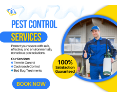 Say Goodbye to Pests with Keysborough Experts call Now