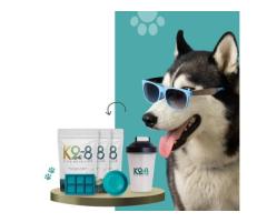Choose the Best Dog Supplements for Peak Canine Performance