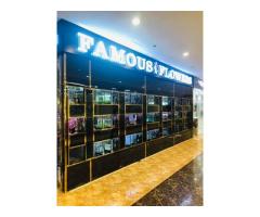 Aquarium supplies abu dhabi- Famous Pets