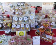 Healthy Pet Treats