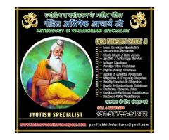 Indian Vashikaran Expert - 2