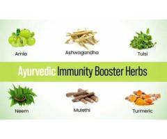 Immunity Boosters Treatment in Greens by Ayuzen Ayurvedic Clinic LLC