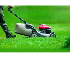 Brighten Your Garden with Premier Gardening and Landscaping Services in Erith