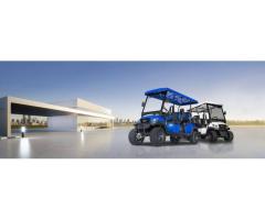Island Adventures Made Easy with AMI Golf Cart Rentals
