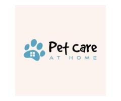 Pet Care At Home