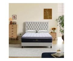 Best Furniture Stores In Christchurch