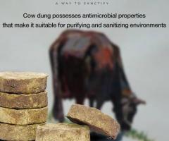 Agnihotra Supplies Cow Dung In India