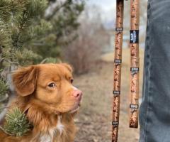 Upgrade Your Pup's Walks with Rocky Mountain Dog's Leash Collection