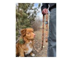 Upgrade Your Pup's Walks with Rocky Mountain Dog's Leash Collection