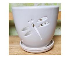 Orchid Pottery for Healthy and Beautiful Orchid Growth