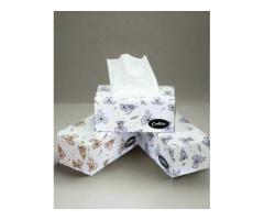 Buy Facial Tissues Melbourne in a Pack of 180 Wipes
