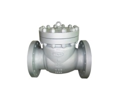 Manual Check Valve Solutions by CWT Valve | Reliable Flow Control