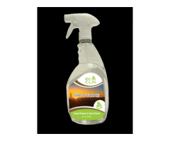 Eco Cln Citrus Carpet Cleaner – Fresh, Powerful & Eco-Friendly Cleaning