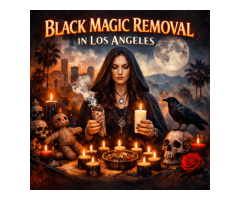 Expert Black Magic Removal in Los Angeles – Master Rajdutt