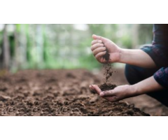 Advanced Courses on Soil Health & Crop Microbiome | BioAg World Academy