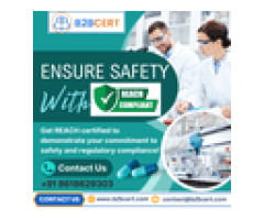 REACH Certification Services in New York
