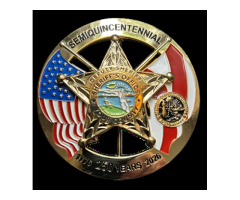 Premium Anniversary Badge Designs to Celebrate Milestones | 250 Badge