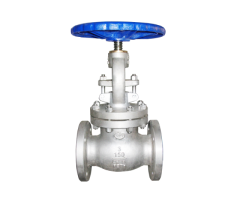 Premium Globe Valve Solutions for Precision Flow Control | CWT Valv