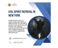 Powerful Evil Spirit Removal in New York By Pandit Krishna Sai