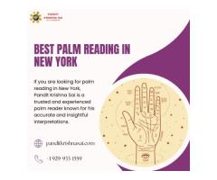 Best Palm Reading in New York By Pandit Krishna Sai