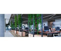 Biophilic Office Design UK | Harleen Mclean Sustainable Workspaces