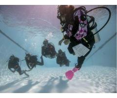 Discover World-Class Liveaboard Diving Adventures with Wetzone Divers in Thailand