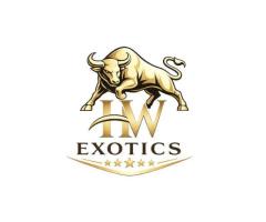 HW-Exotics | Boat Rental Service | Boat Hire Service Miami, FL - 4
