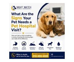 What Are the Signs Your Pet Needs a Pet Hospital Visit?