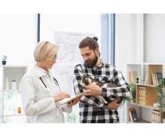 Give Your Cat the Protection They Deserve — Expert Cat Vaccination in Encino