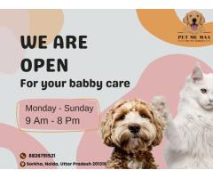 Dog Boarding Near Me in Noida – Safe & Comfortable Pet Stay at Pet Me Maa