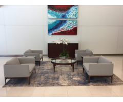 Area Carpets for Sale | Contemporary Area Rug Store