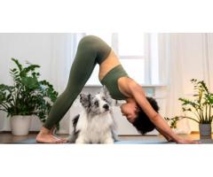 Puppy Pose Yoga: A Complete Guide to Benefits, Steps, and Precautions
