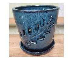 Orchid Pot for Sale – Simple and Strong Pots by Green Barn Orchid