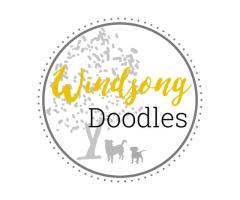 Reliable Los Angeles Doodle Breeder for Loving Puppies