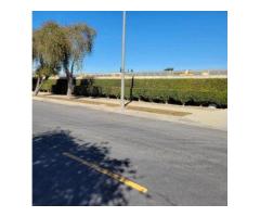 Silver RV Park | RV Park | Recreational Vehicle Rental Agency Harbor City, CA