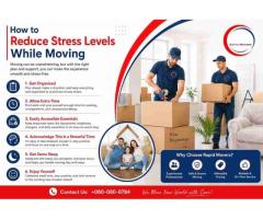 Why Is RapidMovers Considered the Best Moving Company in Christchurch?