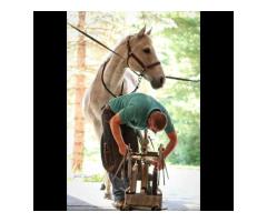 Horse Farrier & Horseshoer Farrier Services
