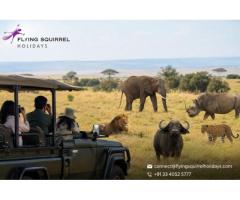 Luxury Kenya Safari Adventures from Kolkata in 2026