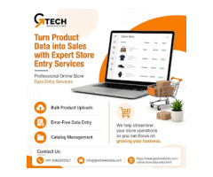 Why Businesses Rely on Data Entry Services for Accuracy